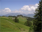 Walter 08.07.08-02.01.200918